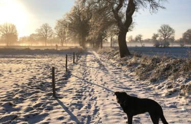 Gut Strackholt FeWo Seemannsgarn - Foto 23
