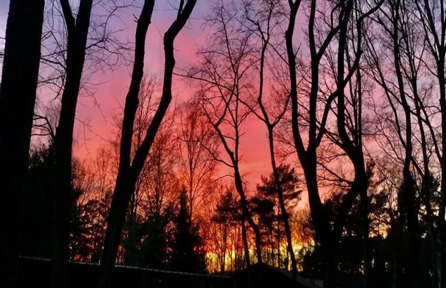 Farm Stay With Sauna, Teuven - Foto 27