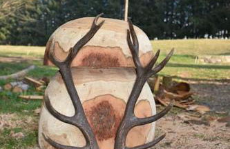 Le hameau de Donnedevie - Foto 35