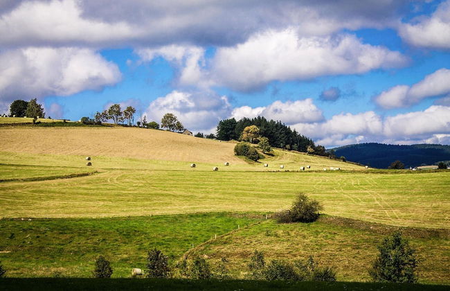 Holiday Complex Erzgebirge Idyll, Breitenbrunn - Foto 24