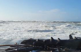 A Relaxing Getaway SolDuc 1 - Foto 46