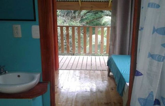 Drake Lapas - Foto 19