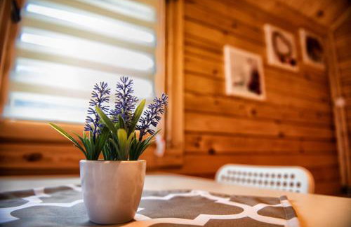 Nocleg Zator Domki Paradise Pod Palmami - Foto 28