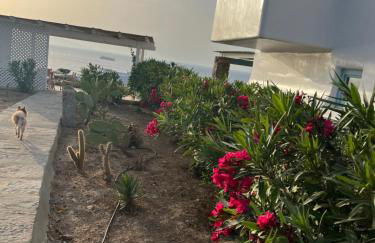 House by the sea in Kea Cyclades - Foto 18