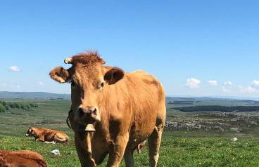 Maison les pieds dans l'eau - Foto 39