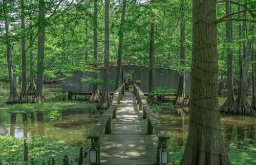 Lakefront Tiny Emerald wkayaks & canoes - Foto 34