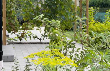 Apartamenty i pokoje nadmorskie - Owocowe Wzgórze - Foto 59