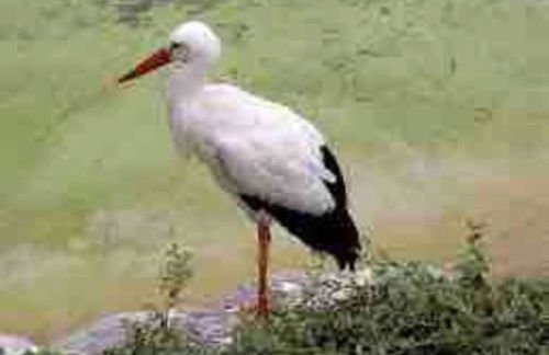 Appartamento Zia Ninìn - la gioia di un tempo! - Foto 18