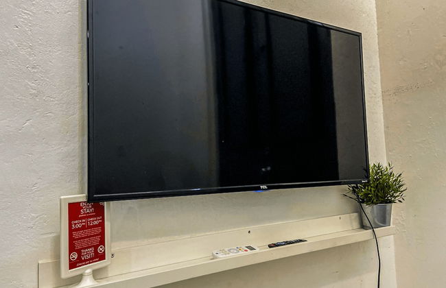 Gladiolas 2103 - Foto 7