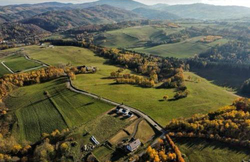 Sosnowe Wzgórze - Wypoczynek w Zagórzu Śląskim 3 - Foto 1