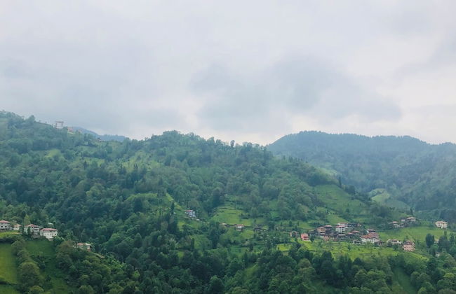 Dereli Suit Apart - Foto 25