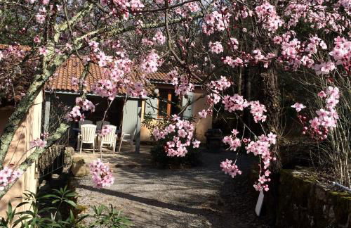 Manoir de Champvert - Foto 61