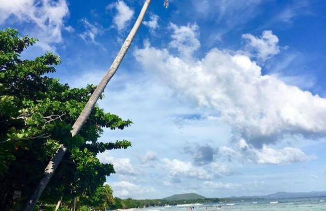 The Whitehouse by the Sea - Photo 59