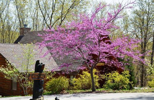 Ole Hickory w/Firepit HotTub - Foto 36