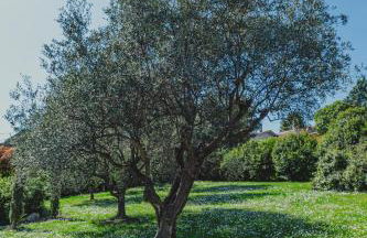 Tenuta dei Franceschi Luxury Villa Private Pool Countryside - Photo 11