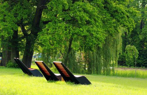 Szczodre Sybillenort blisko Wrocławia - Photo 27