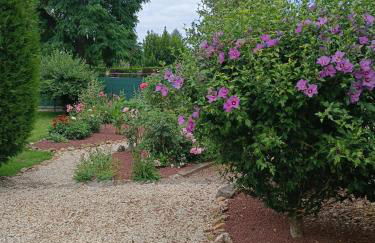 Les lits de la Loire - Photo 31