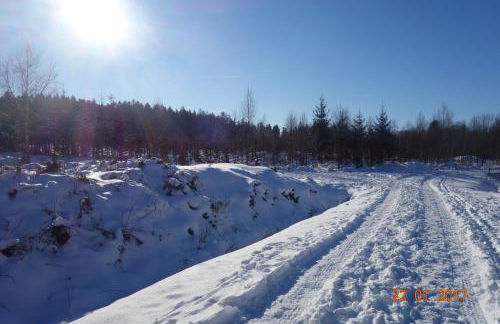 Ferienhaus Quick's Cottage - Foto 18