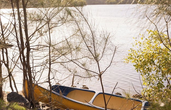 Reflections Ferry Reserve - Holiday Park - Photo 39