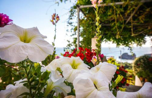 Fotini's Apartments - Pelekas Beach - Foto 13