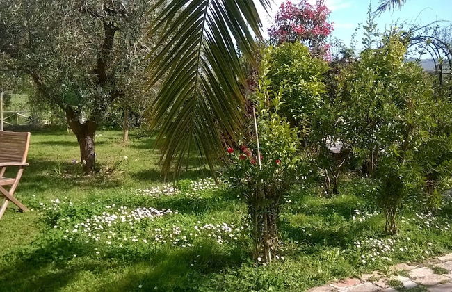 Agriturismo Bassarì - Photo 30