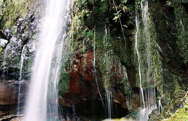 Madeira Lagos e Fontes Rabacal - Foto 9