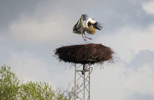 Ferienwohnung am Sandwater - Foto 7