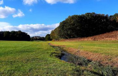 BCA Family Villa ERH - Foto 34