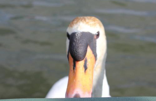 Waterbeach Boatel - Foto 16