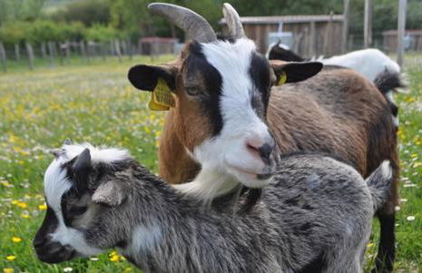 Casa Artorena, acogedora casa rural en pleno corazón del valle de la Ultzama - Foto 32
