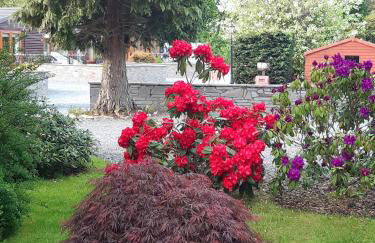 Willow Lodge Auchterarder - Photo 28