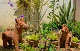 Casa em Mundaú Trairi-Ce - Foto 52