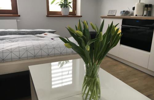 Apartamenty AP 1 - Photo 7