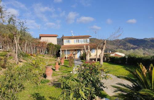 la tana del geco - Foto 48