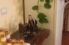 Agriturismo IL CERRO - Photo 56