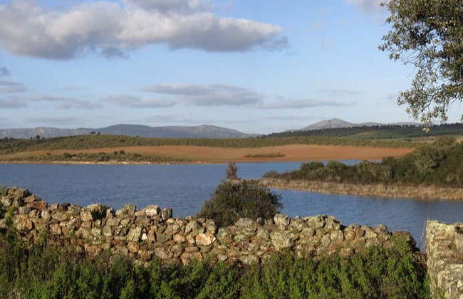 Tour en kayak por el embalse de Alange - Photo 5