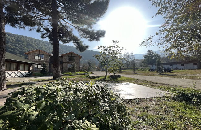 Sapanca muratbey - Foto 8