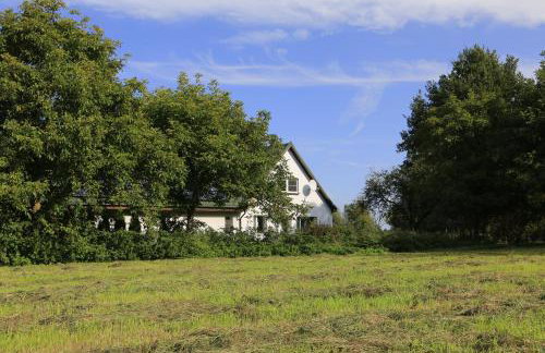 Agroturystyka Żuławiaczek - Foto 34