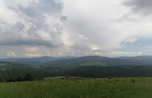 Olberówka - Foto 38