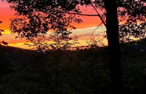 Treehouse Retreat - Foto 67