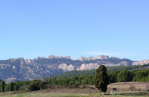 La Bastidelle - Foto 10