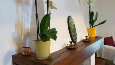 B&B Codivilla - Photo 3