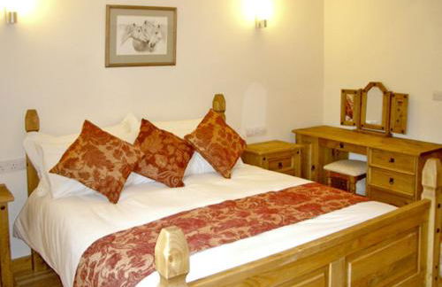 Happy Union Stables - Photo 4