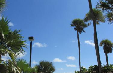 Ocean Blue - Foto 22