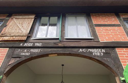 Reet-Cottage Nahe der Ostsee - Foto 4