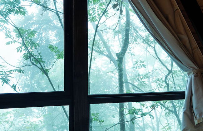 Taboo Refúgio - Foto 39