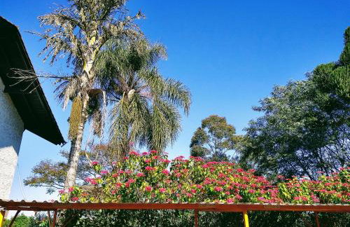 Apart Res Swiss - Jd Europa - Foto 12