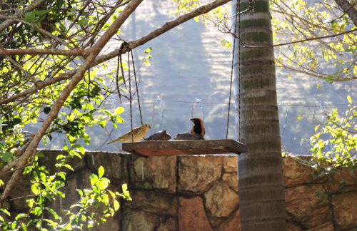 Casa para temporada - Foto 10