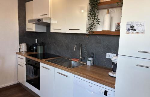 Soundproof Studio Geneva Airport 10 min and UN 20 min - Foto 11