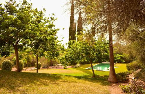 Finca Porto Cristo - Es Bosquet - Foto 49